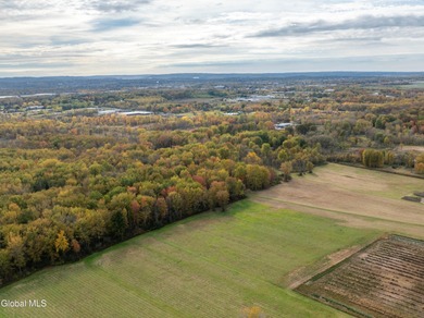 Discover 17.37 wooded acres of commercially zoned land in the - photo 19