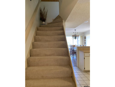 Also MLS Listing 1 = 21314809 When the Texas heat gets to be too - photo 19