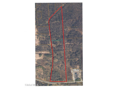 Discover 17.37 wooded acres of commercially zoned land in the - photo 22