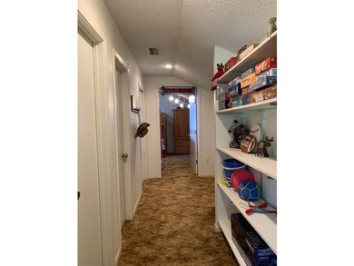 Also MLS Listing 1 = 21314809 When the Texas heat gets to be too - photo 29
