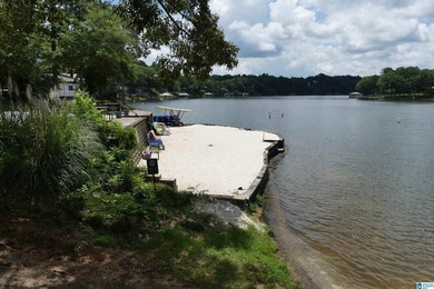 GREAT OPPORTUNITY TO BE AT THE LAKE WITHOUT BREAKING THE BANK! - photo 34