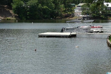 GREAT OPPORTUNITY TO BE AT THE LAKE WITHOUT BREAKING THE BANK! - photo 38