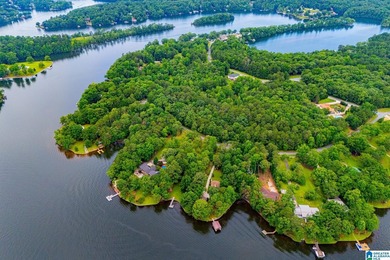 GREAT OPPORTUNITY TO BE AT THE LAKE WITHOUT BREAKING THE BANK! - photo 41