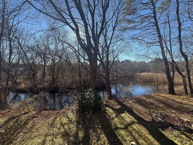 Enjoy your morning coffee with stunning views of the Charles - photo 41