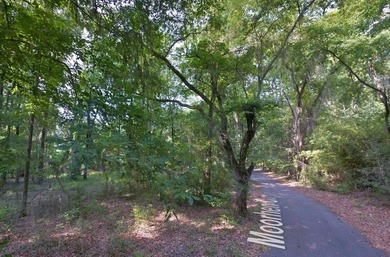 Lake Iamonia Acreage Active Under Contract in Tallahassee Florida