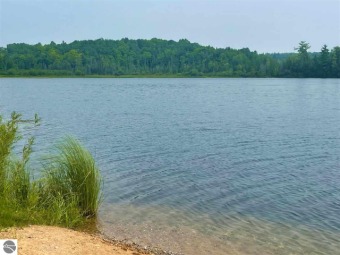 Bronson Lake Lot For Sale in Interlochen Michigan