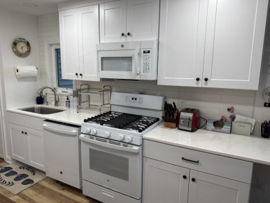 COMPLETLY Remodeled & Turnkey Adams Lake Cottage - photo 10