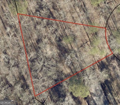 Jackson Lake Lot For Sale in Monticello Georgia