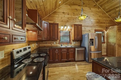 Welcome to 732 Grandview Peaks Drive in Nebo, North Carolina - photo 12