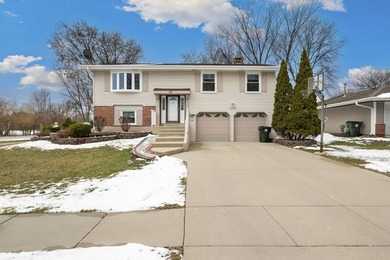 (private lake, pond, creek) Home For Sale in Hoffman Estates Illinois