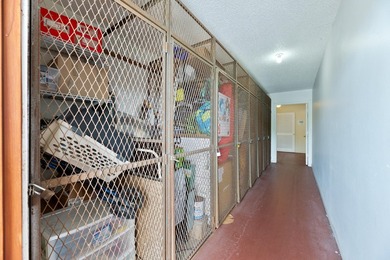 FABULOUS LOCATION IN THE SOUGHT-AFTER 55+ VILLAGES OF ORIOLE - photo 25