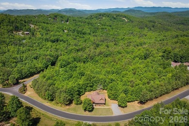 Welcome to 732 Grandview Peaks Drive in Nebo, North Carolina - photo 32