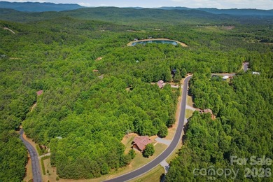 Welcome to 732 Grandview Peaks Drive in Nebo, North Carolina - photo 33