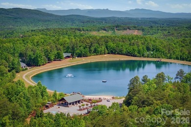 Welcome to 732 Grandview Peaks Drive in Nebo, North Carolina - photo 35
