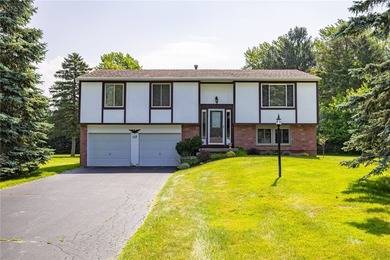 Welcome home to this beautifully updated, ORIGINAL OWNER - photo 1