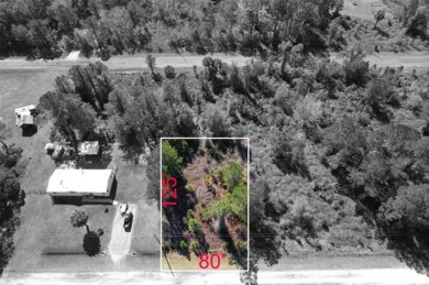 Lake Lot For Sale in Georgetown, Florida