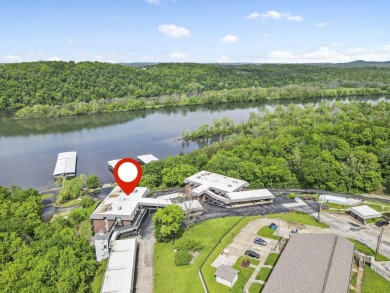 Lake Condo For Sale in Forsyth, Missouri