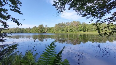  Lot For Sale in Embden Maine