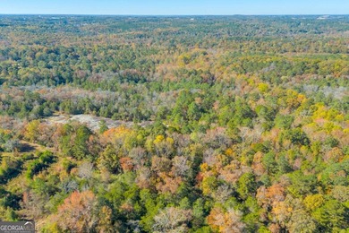 Breathtaking 168.25 acres in highly desirable North Rockdale - photo 15