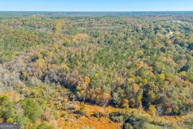 Breathtaking 168.25 acres in highly desirable North Rockdale - photo 16