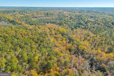 Breathtaking 168.25 acres in highly desirable North Rockdale - photo 17
