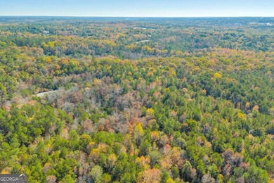 Breathtaking 168.25 acres in highly desirable North Rockdale - photo 18