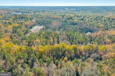 Breathtaking 168.25 acres in highly desirable North Rockdale - photo 19