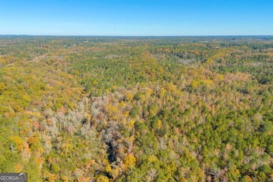 Breathtaking 168.25 acres in highly desirable North Rockdale - photo 22