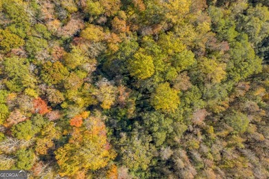 Breathtaking 168.25 acres in highly desirable North Rockdale - photo 23