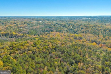 Breathtaking 168.25 acres in highly desirable North Rockdale - photo 24