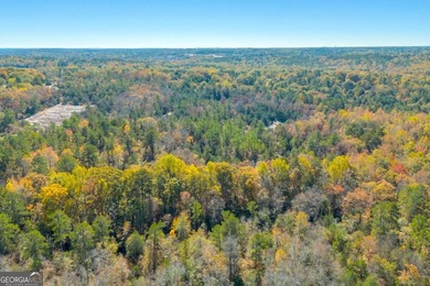 Breathtaking 168.25 acres in highly desirable North Rockdale - photo 25