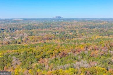 Breathtaking 168.25 acres in highly desirable North Rockdale - photo 27