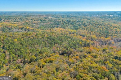 Breathtaking 168.25 acres in highly desirable North Rockdale - photo 35