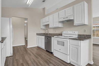 SUBDIVISION IS GREAT FOR THOSE LOOKING FOR A LOW MAINTENANCE - photo 10