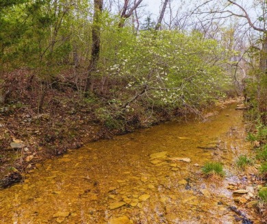 (private lake, pond, creek) Acreage Sale Pending in Willow Springs Missouri