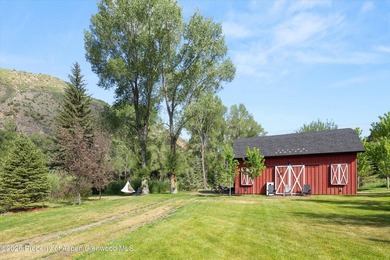 Presenting over 600 feet of private Roaring Fork River frontage - photo 5