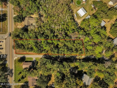 Corner lot in a golf cart-friendly community less than a mile - photo 11