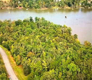 Lake Lot For Sale in Hodges, South Carolina