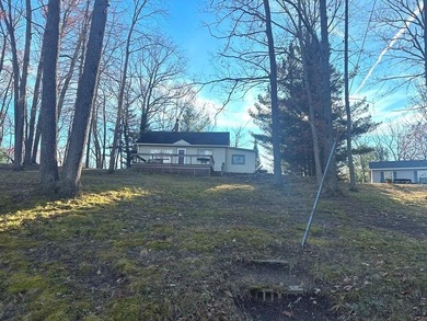 Budd Lake Home For Sale in Harrison Michigan