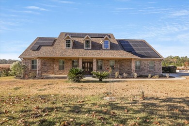 Lake Frances - Madison County Home For Sale in Madison Florida