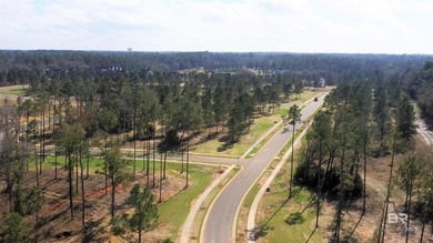 A premier upscale development in Fairhope highly insulated from - photo 7