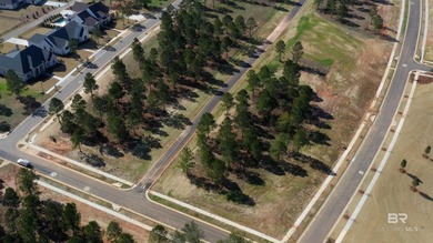 A premier upscale development in Fairhope highly insulated from - photo 10