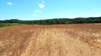 Grenada Reservoir Acreage For Sale in Grenada Mississippi