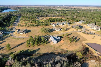 A premier upscale development in Fairhope highly insulated from - photo 4