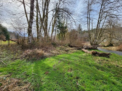 Come settle into this private creekfront homestead on 3 usable - photo 47