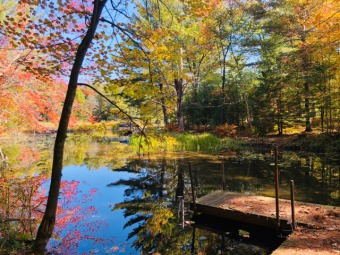 (private lake, pond, creek) Lot For Sale in Arbor Vitae Wisconsin