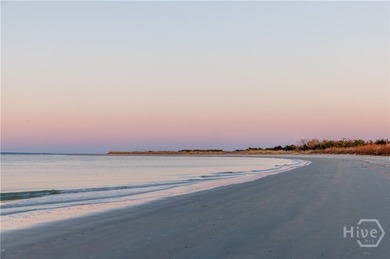 Turnkey, high-earning vacation rental opportunity at Savannah - photo 22
