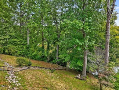 LAKEFRONT HOME for sale in CAROLINA TRACE - PRIVATE DOCK on LAKE - photo 46