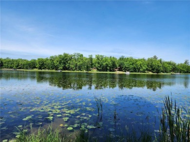 Trillium Lake Lot For Sale in Hackensack Minnesota