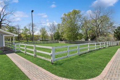 Horse Property: Wonderfully updated and open floor plan ranch - photo 9